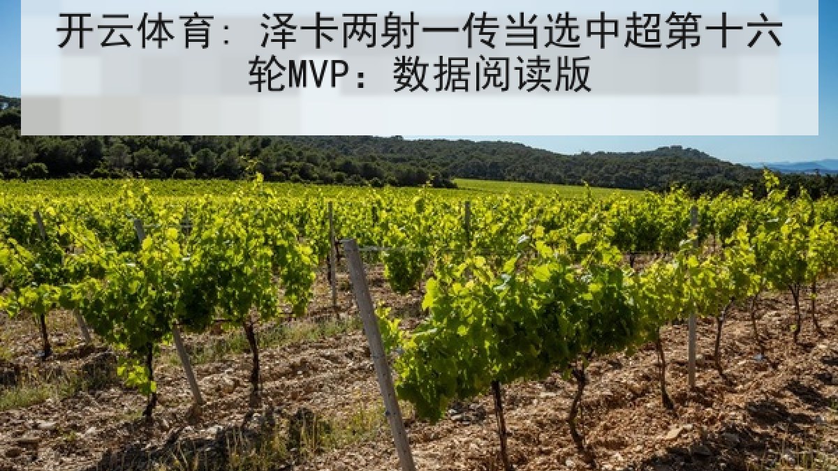 开云体育: 泽卡两射一传当选中超第十六轮MVP：数据阅读版