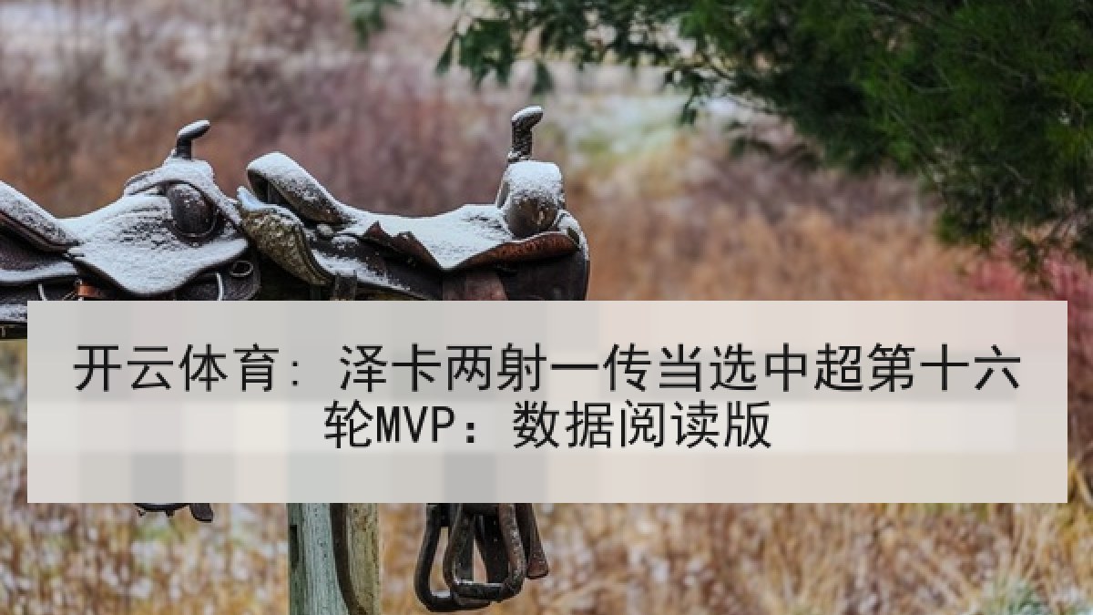 开云体育: 泽卡两射一传当选中超第十六轮MVP：数据阅读版