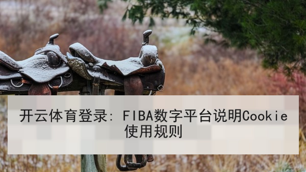 开云体育登录: FIBA数字平台说明Cookie使用规则