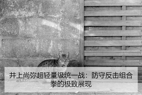 井上尚弥超轻量级统一战：防守反击组合拳的极致展现