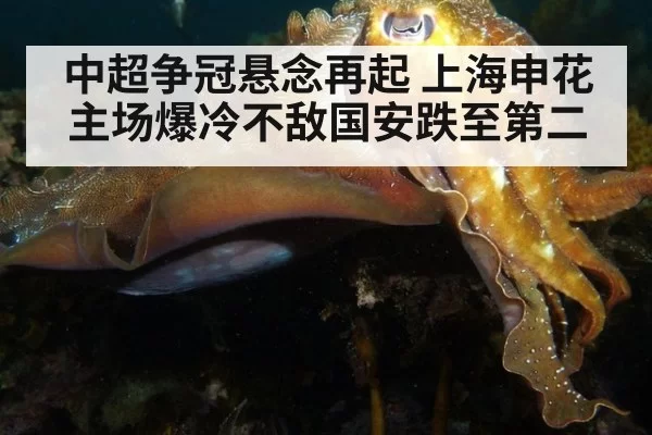 中超争冠悬念再起 上海申花主场爆冷不敌国安跌至第二